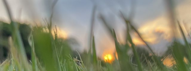 ラド　受験生の為､暫く活動休止&暫く読む専 m(_ _)mさんの壁紙画像