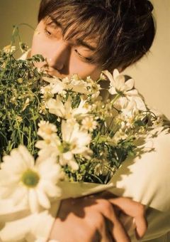 『すべて夢の中』