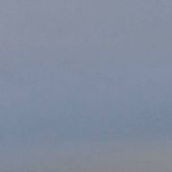 リンさんのアイコン画像