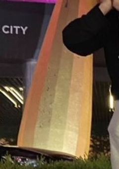 今日好き龍神、火の鳥パロ