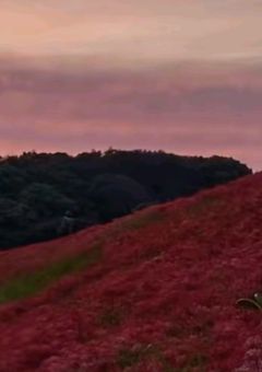 コトバナハト。