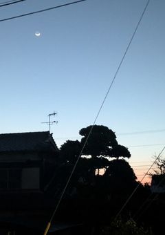 新ljc、垢抜けます。