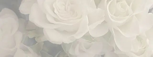 智慧さんの壁紙画像