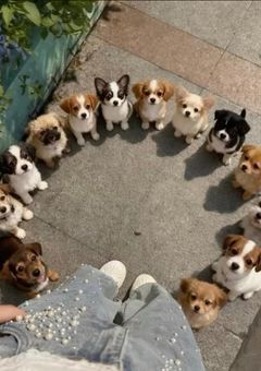 いやまさか"人"だなんて、ㅎ