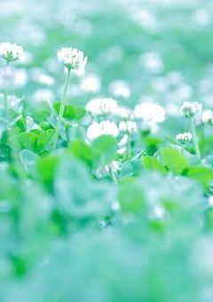 雑談　部屋　o .｡.:*☆