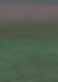 ＆TEAM たんぺんしゅー