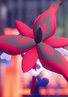 カ ー ネ ー シ ョ ン .