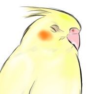 かわいんこさんのアイコン画像