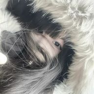 Suさんのアイコン画像