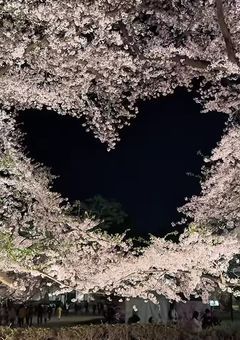 BL 🦞̥📸メインの色々