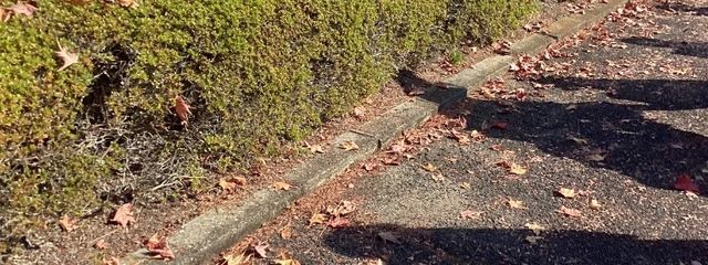 ケチャマヨぽん酢さんの壁紙画像