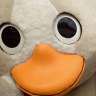 ケチャマヨぽん酢さんのアイコン画像