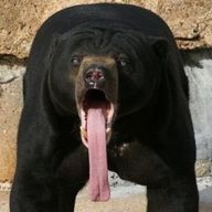 車じゃないよさんのアイコン画像