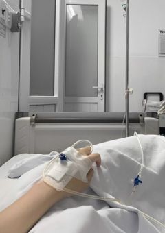 ┈7人のせんせい┈