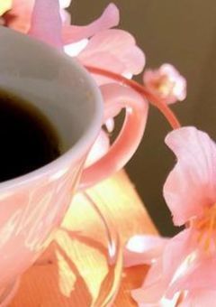 夜桜家御用達のお店には看板娘がいるらしい