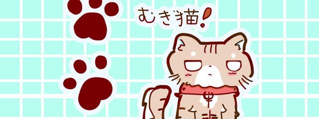 むぎ猫🌈芬蘭さんの壁紙画像