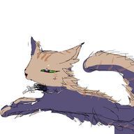 むぎ猫🌈芬蘭さんのアイコン画像