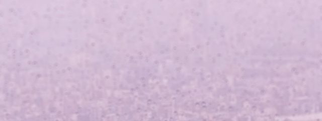 Asa_Hutaba@歌い手志望さんの壁紙画像