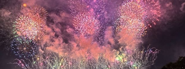 せかいのみかんさんの壁紙画像