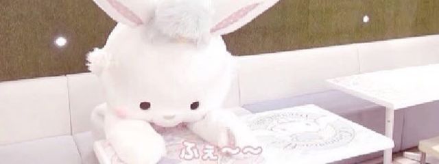 ︎ ︎ ︎ ︎ ︎꒷꒦ゆららさんの壁紙画像