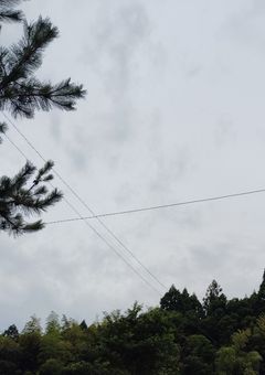 謎の村に行き着いた少年少女の末路。