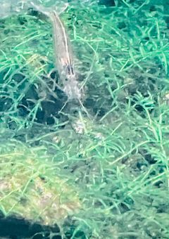 短編集【𝟸𝚓𝟹𝚓】