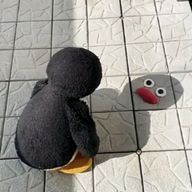 くりーむ✨🧸さんのアイコン画像