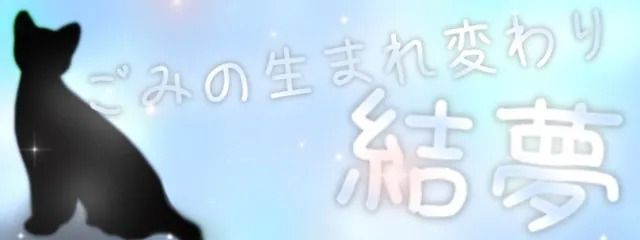 𝚈𝚞𝚒𝚖𝚎さんの壁紙画像