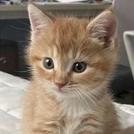 ♡ 레미 ♡ さんのアイコン画像