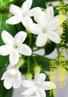 記憶喪失になった記録者が生意気な件　左手Ver