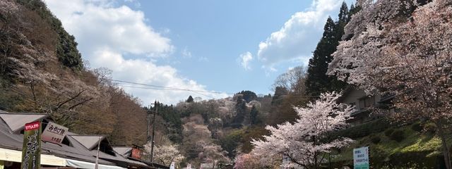  いわしさんの壁紙画像