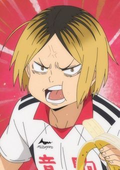 東京の猫 宮城に行きます