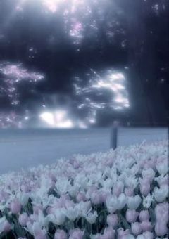 星様返却💫