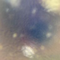 しゅわさんのアイコン画像