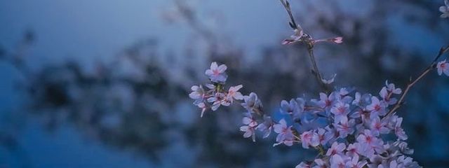 夏風邪@低浮上さんの壁紙画像