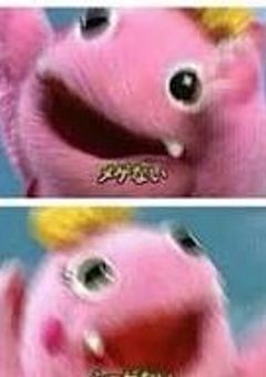 血暖猫お勉強会