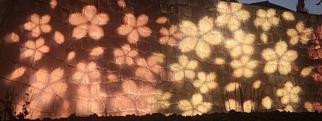 桜華さんの壁紙画像