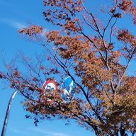 にんじん🥕さんのアイコン画像