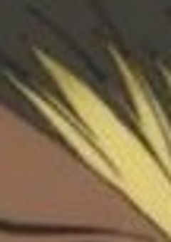 LI○E☆