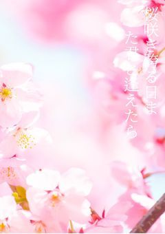 桜咲き誇るまた君と逢う日に