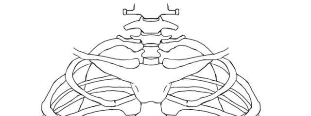 A8さんの壁紙画像