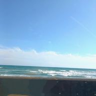 タコ🐙さんのアイコン画像