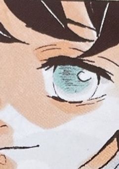 霞柱にはそっくりな妹が居るらしい
