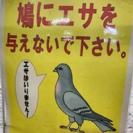 キコウイさんのアイコン画像