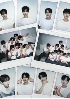 メンバーが甘すぎます