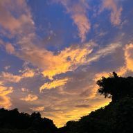 浮遊さんのアイコン画像