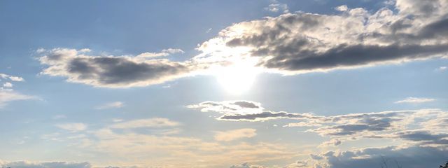 制作中毒さんの壁紙画像