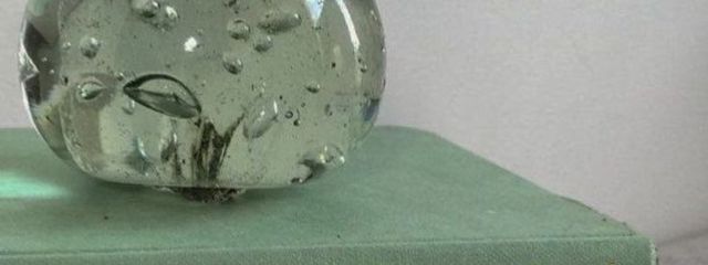 Nemu.さんの壁紙画像