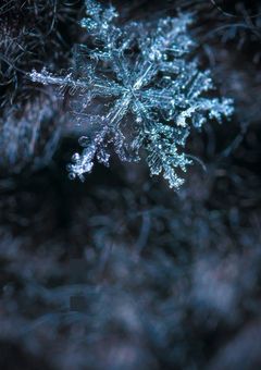 科学調査研究所～S.N.O.W.～