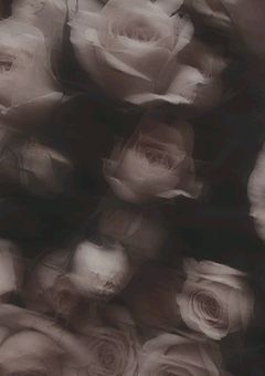 【stxl】短（ 長 ）編集